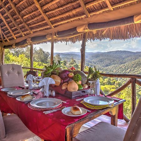 Ngorongoro Forest Tented Lodge Karatu Εξωτερικό φωτογραφία